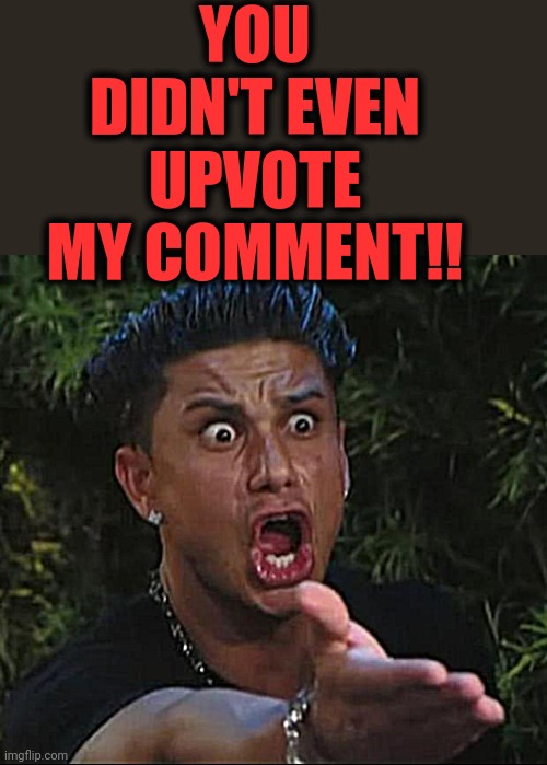 DJ Pauly D Meme | YOU DIDN'T EVEN UPVOTE MY COMMENT!! | image tagged in memes,dj pauly d | made w/ Imgflip meme maker