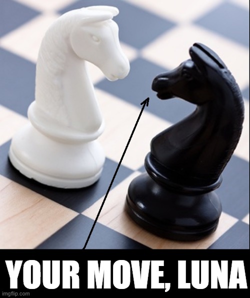 YOUR MOVE, LUNA | made w/ Imgflip meme maker