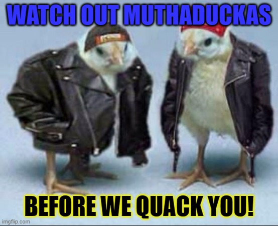 WATCH OUT MUTHADUCKAS BEFORE WE QUACK YOU! | made w/ Imgflip meme maker