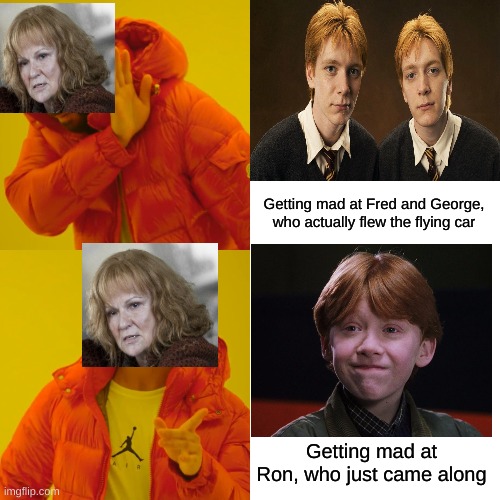 Comment if you want more of these memes! | Getting mad at Fred and George, who actually flew the flying car; Getting mad at Ron, who just came along | image tagged in memes,drake hotline bling | made w/ Imgflip meme maker