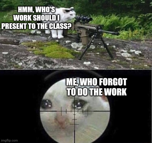 Sniper cat | HMM, WHO'S WORK SHOULD I PRESENT TO THE CLASS? ME, WHO FORGOT TO DO THE WORK | image tagged in sniper cat | made w/ Imgflip meme maker
