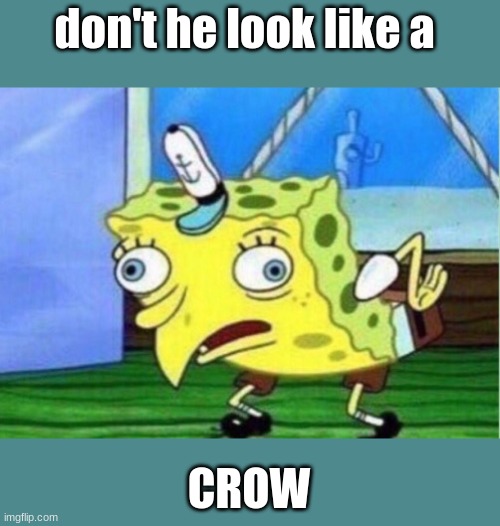 haha | don't he look like a; CROW | image tagged in memes,mocking spongebob | made w/ Imgflip meme maker