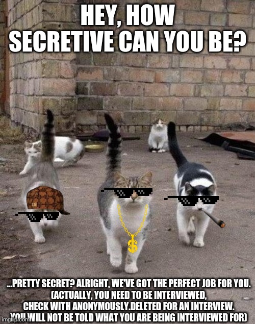 Alley Cats | HEY, HOW SECRETIVE CAN YOU BE? ...PRETTY SECRET? ALRIGHT, WE'VE GOT THE PERFECT JOB FOR YOU.
(ACTUALLY, YOU NEED TO BE INTERVIEWED, CHECK WITH ANONYMOUSLY.DELETED FOR AN INTERVIEW. YOU WILL NOT BE TOLD WHAT YOU ARE BEING INTERVIEWED FOR) | image tagged in alley cats | made w/ Imgflip meme maker