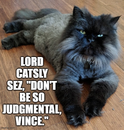 Well... look and Mister High-and-Mighty | LORD CATSLY SEZ, "DON'T BE SO JUDGMENTAL, VINCE." | image tagged in vince vance,funny cat memes,judgemental,cats,kitty cat,i love cats | made w/ Imgflip meme maker