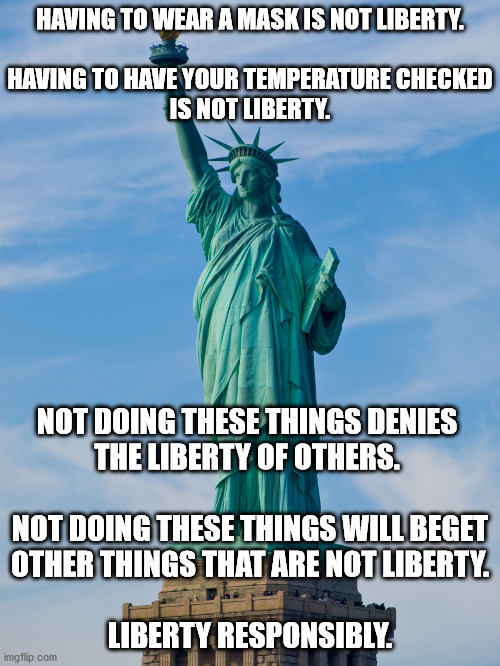 statue of liberty | HAVING TO WEAR A MASK IS NOT LIBERTY.
 
HAVING TO HAVE YOUR TEMPERATURE CHECKED
IS NOT LIBERTY. NOT DOING THESE THINGS DENIES 
THE LIBERTY OF OTHERS. 
 
NOT DOING THESE THINGS WILL BEGET
OTHER THINGS THAT ARE NOT LIBERTY.
 
LIBERTY RESPONSIBLY. | image tagged in statue of liberty | made w/ Imgflip meme maker
