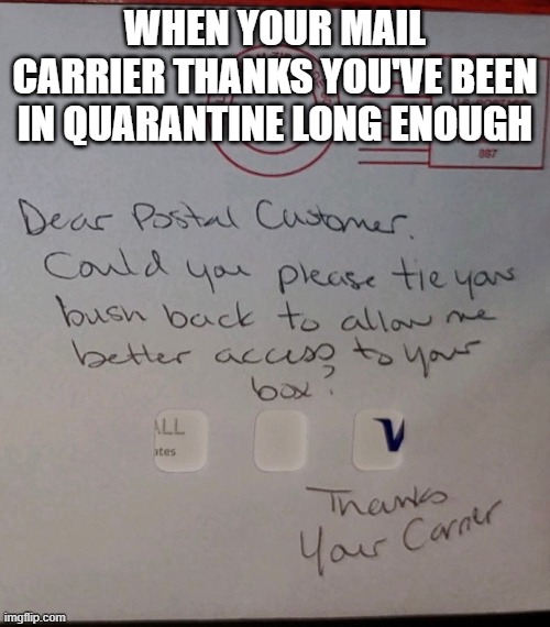 Quarantine Bush | WHEN YOUR MAIL CARRIER THANKS YOU'VE BEEN IN QUARANTINE LONG ENOUGH | image tagged in mail,mailbox,post office | made w/ Imgflip meme maker
