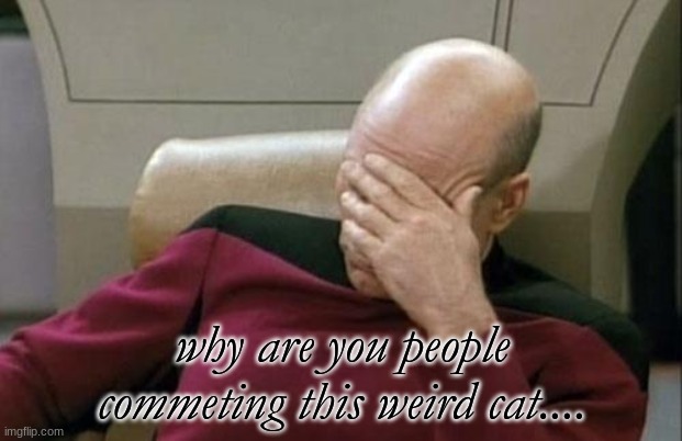 Captain Picard Facepalm Meme | why are you people commeting this weird cat.... | image tagged in memes,captain picard facepalm | made w/ Imgflip meme maker