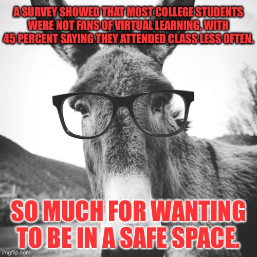 Safe Space Smart Ass | A SURVEY SHOWED THAT MOST COLLEGE STUDENTS WERE NOT FANS OF VIRTUAL LEARNING, WITH 45 PERCENT SAYING THEY ATTENDED CLASS LESS OFTEN. SO MUCH FOR WANTING TO BE IN A SAFE SPACE. | image tagged in smart ass,memes,safe space,college,virus,internet | made w/ Imgflip meme maker