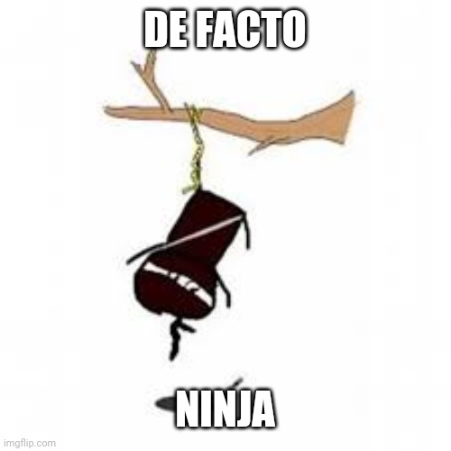 DE FACTO NINJA | made w/ Imgflip meme maker