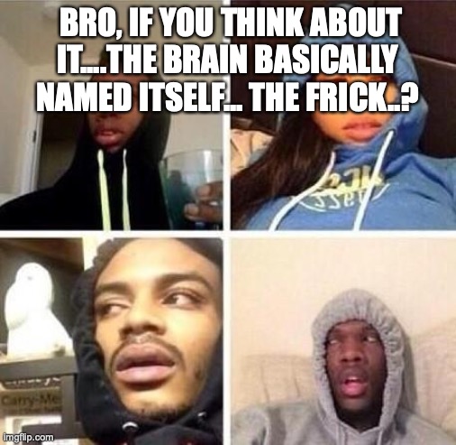 *Hits blunt | BRO, IF YOU THINK ABOUT IT....THE BRAIN BASICALLY NAMED ITSELF... THE FRICK..? | image tagged in hits blunt | made w/ Imgflip meme maker