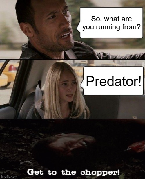 Go!!! Run!!! | So, what are you running from? Predator! | image tagged in memes,the rock driving | made w/ Imgflip meme maker