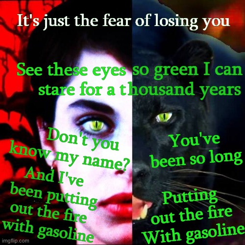 Catperson | It's just the fear of losing you; so green I can
  housand years; See these eyes
 stare for a t; Don't you 
know my name? You've been so long; And I've 
been putting
out the fire 
with gasoline; Putting out the fire
With gasoline | image tagged in eyes_so_green,nastassia_kinski,nastassja_kinski,irena_gallier,cat_people,david_bowie lyrics | made w/ Imgflip meme maker