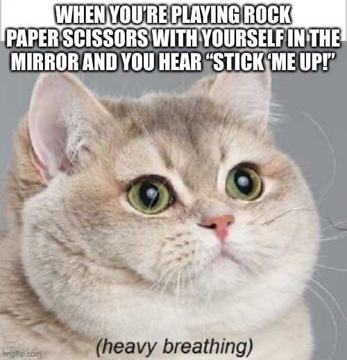 WHEN YOU’RE PLAYING ROCK PAPER SCISSORS WITH YOURSELF IN THE MIRROR AND YOU HEAR “STICK ‘ME UP!” | image tagged in memes,heavy breathing cat | made w/ Imgflip meme maker