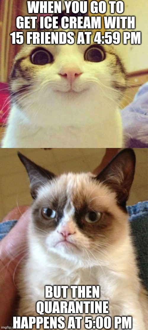 WHEN YOU GO TO GET ICE CREAM WITH 15 FRIENDS AT 4:59 PM; BUT THEN QUARANTINE HAPPENS AT 5:00 PM | image tagged in memes,grumpy cat,smiling cat,quarantine,ice cream | made w/ Imgflip meme maker