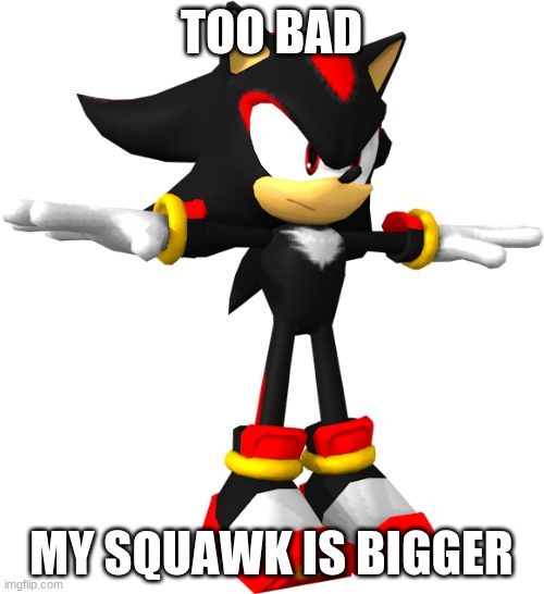 shadow the hedgehog t pose | TOO BAD MY SQUAWK IS BIGGER | image tagged in shadow the hedgehog t pose | made w/ Imgflip meme maker