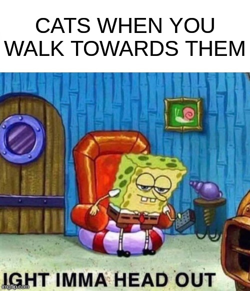 Spongebob Ight Imma Head Out | CATS WHEN YOU WALK TOWARDS THEM | image tagged in memes,spongebob ight imma head out | made w/ Imgflip meme maker