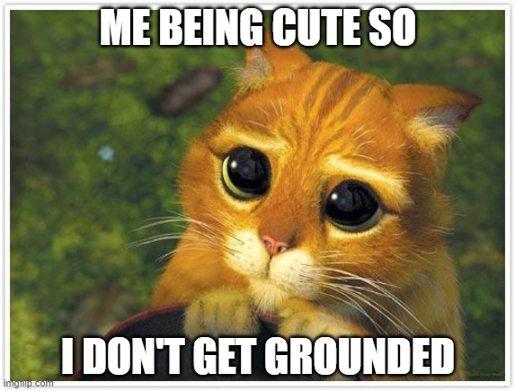 Shrek Cat | ME BEING CUTE SO; I DON'T GET GROUNDED | image tagged in memes,shrek cat | made w/ Imgflip meme maker