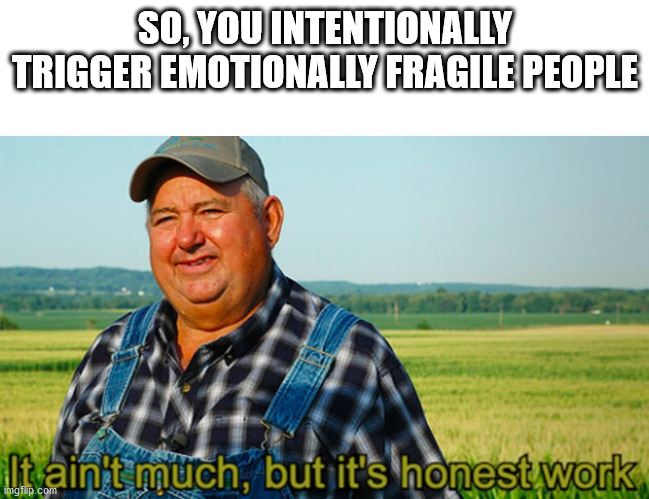 trigger emotionally unstable people. | SO, YOU INTENTIONALLY TRIGGER EMOTIONALLY FRAGILE PEOPLE | image tagged in it ain't much but it's honest work | made w/ Imgflip meme maker