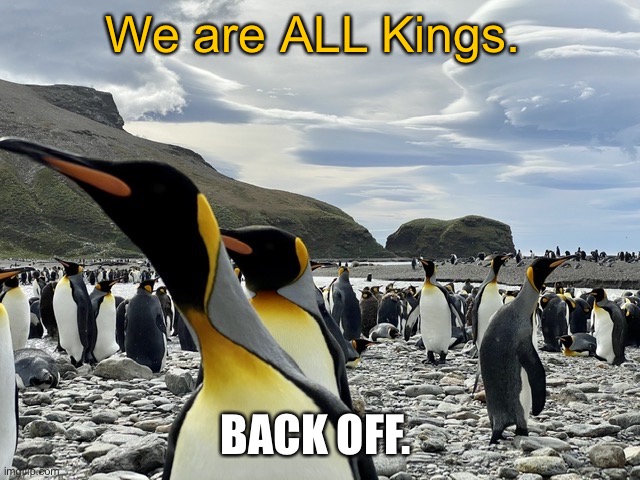 Coronavirus | We are ALL Kings. BACK OFF. | image tagged in kings by andy | made w/ Imgflip meme maker