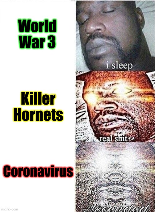 I sleep real crap | World War 3; Killer Hornets; Coronavirus | image tagged in i sleep real shit ascended | made w/ Imgflip meme maker