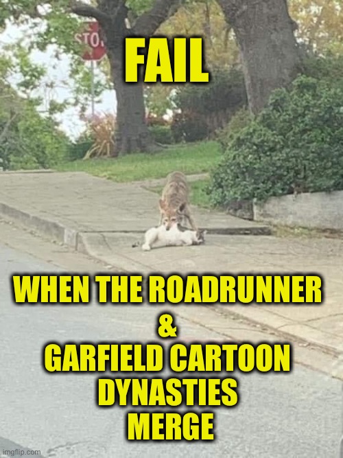 Wile E. Coyote vs. Garfield | FAIL; WHEN THE ROADRUNNER 
& 
GARFIELD CARTOON 
DYNASTIES 
MERGE | image tagged in roadrunner,garfield,coyote,cat | made w/ Imgflip meme maker