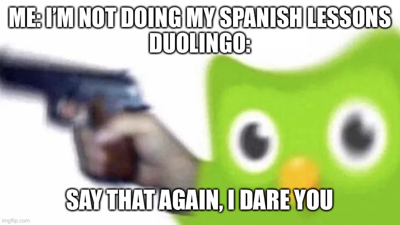 duolingo gun | ME: I’M NOT DOING MY SPANISH LESSONS
DUOLINGO:; SAY THAT AGAIN, I DARE YOU | image tagged in duolingo gun | made w/ Imgflip meme maker