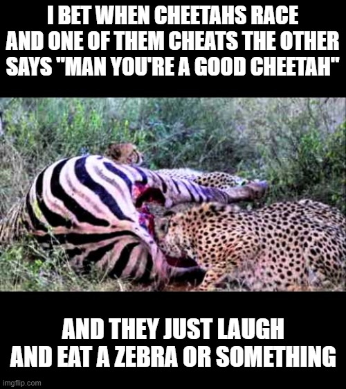 Do They Think Like Us? | I BET WHEN CHEETAHS RACE AND ONE OF THEM CHEATS THE OTHER SAYS "MAN YOU'RE A GOOD CHEETAH"; AND THEY JUST LAUGH AND EAT A ZEBRA OR SOMETHING | image tagged in cheetah | made w/ Imgflip meme maker