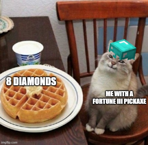 minecraft | 8 DIAMONDS; ME WITH A FORTUNE III PICKAXE | image tagged in cat likes their waffle | made w/ Imgflip meme maker