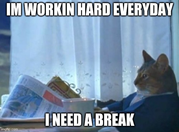 i been workin | IM WORKIN HARD EVERYDAY; I NEED A BREAK | image tagged in memes,i should buy a boat cat | made w/ Imgflip meme maker