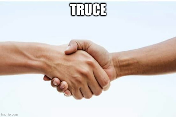 Hand shake | TRUCE | image tagged in hand shake | made w/ Imgflip meme maker