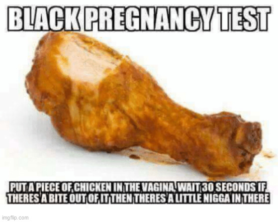 Are you Pregnant? | image tagged in lol,funny,kentucky fried chicken | made w/ Imgflip meme maker