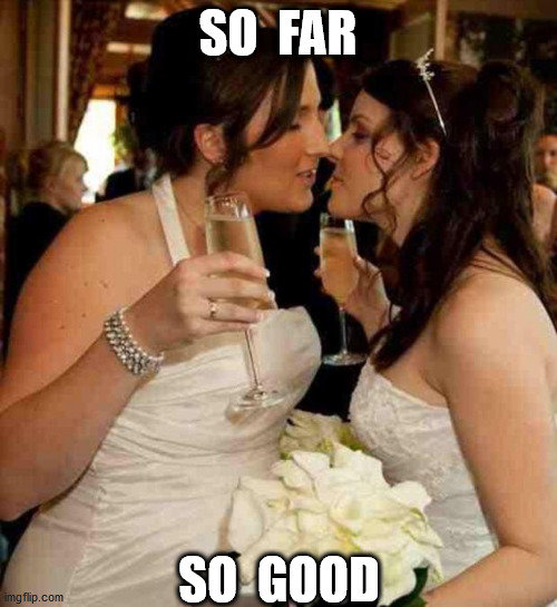 lesbian wedding | SO  FAR SO  GOOD | image tagged in lesbian wedding | made w/ Imgflip meme maker