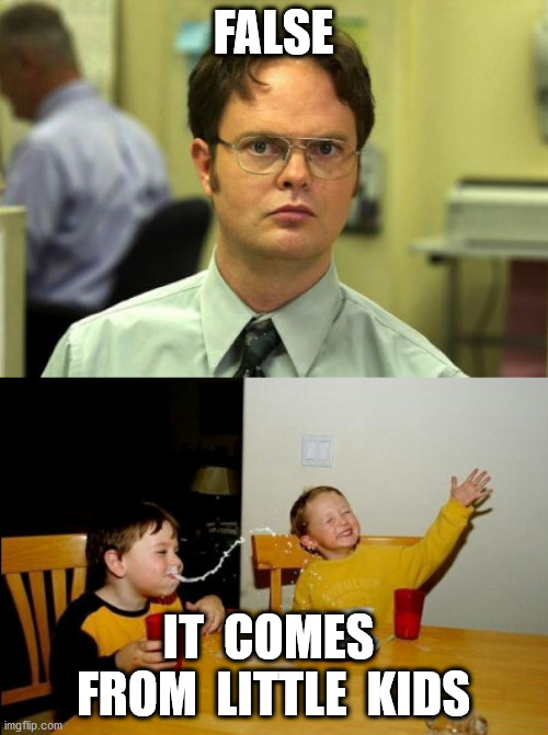 FALSE IT  COMES  FROM  LITTLE  KIDS | image tagged in memes,dwight schrute,yo mamas so fat | made w/ Imgflip meme maker