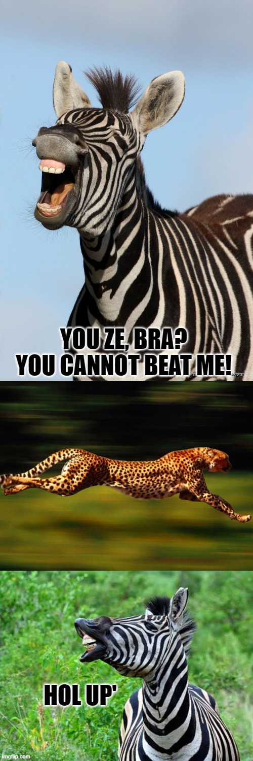 HOL UP' YOU ZE, BRA? YOU CANNOT BEAT ME! | image tagged in cheetah | made w/ Imgflip meme maker