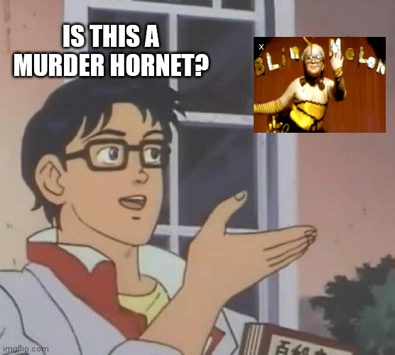 Is This A Pigeon | IS THIS A MURDER HORNET? | image tagged in memes,is this a pigeon | made w/ Imgflip meme maker