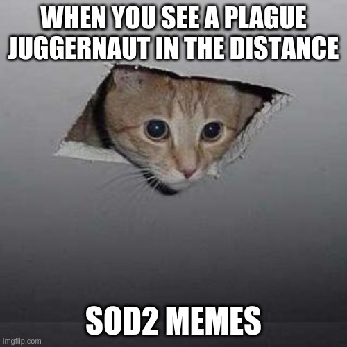 Ceiling Cat Meme | WHEN YOU SEE A PLAGUE JUGGERNAUT IN THE DISTANCE; SOD2 MEMES | image tagged in memes,ceiling cat | made w/ Imgflip meme maker