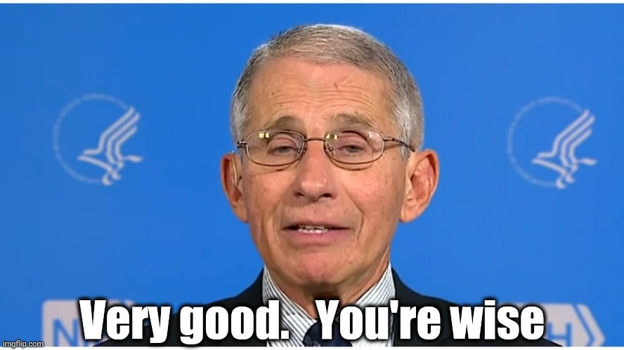 Dr Fauci | Very good.   You're wise | image tagged in dr fauci | made w/ Imgflip meme maker
