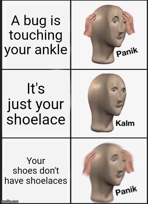 Panik Kalm Panik | A bug is touching your ankle; It's just your shoelace; Your shoes don't have shoelaces | image tagged in memes,panik kalm panik | made w/ Imgflip meme maker