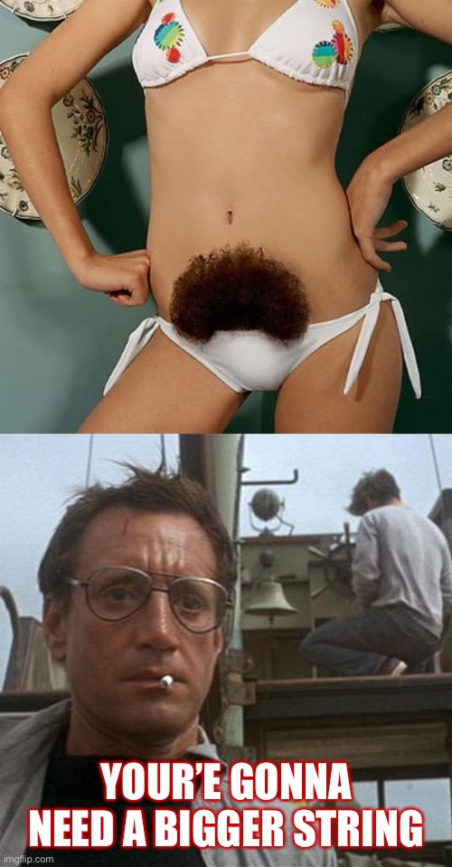 YOUR’E GONNA NEED A BIGGER STRING | image tagged in jaws,hairy bush | made w/ Imgflip meme maker