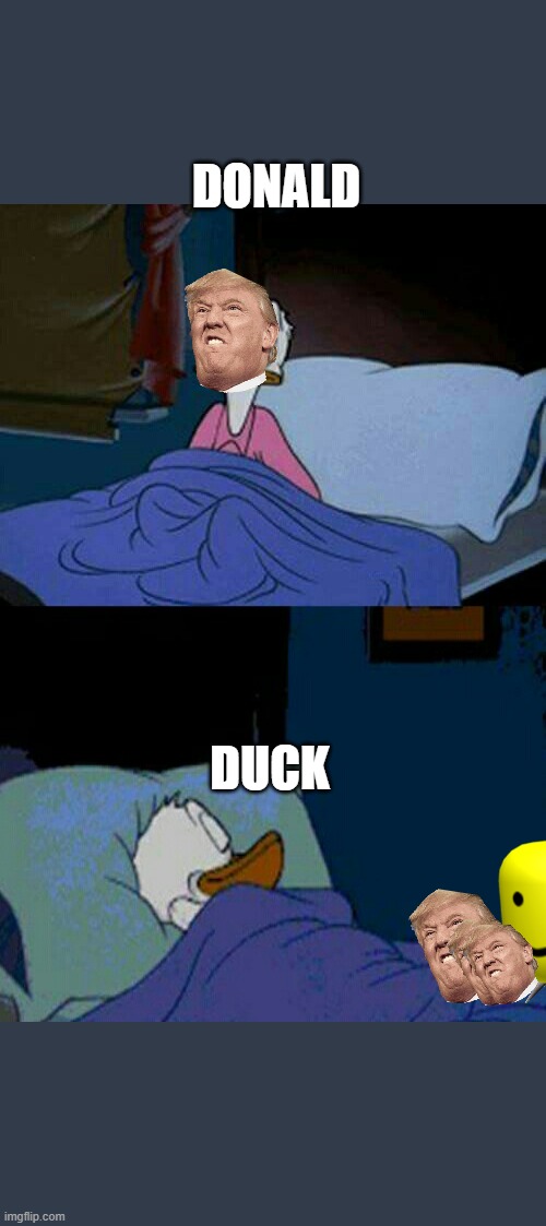 donald duck | DONALD; DUCK | image tagged in sleepy donald duck in bed | made w/ Imgflip meme maker