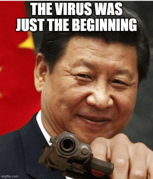 Xi Jinping | THE VIRUS WAS JUST THE BEGINNING | image tagged in xi jinping | made w/ Imgflip meme maker