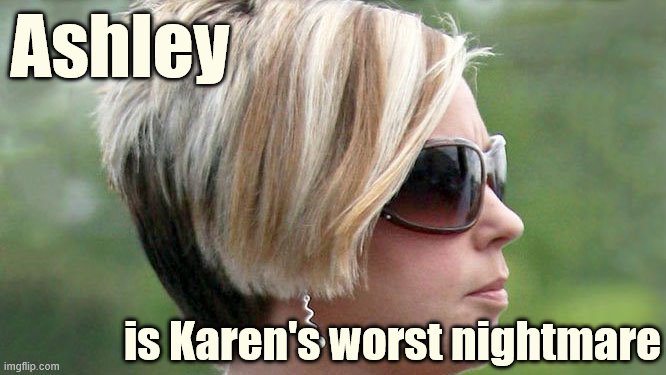 When Ashley calls bullshit on Karen's nonsense. | Ashley is Karen's worst nightmare | image tagged in karen,nonsense,omg karen,coronavirus,covid-19,anti-vaxx | made w/ Imgflip meme maker