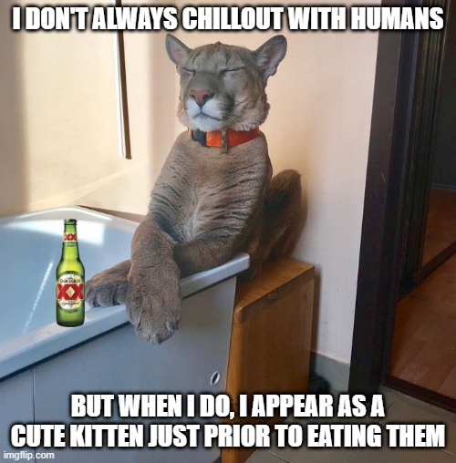 CutePuma | I DON'T ALWAYS CHILLOUT WITH HUMANS; BUT WHEN I DO, I APPEAR AS A CUTE KITTEN JUST PRIOR TO EATING THEM | image tagged in i don't always,when i do,puma | made w/ Imgflip meme maker