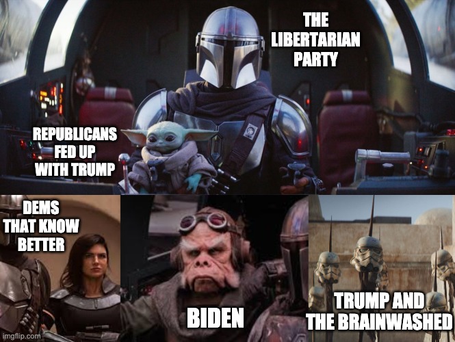 Team 2020 | THE LIBERTARIAN PARTY; REPUBLICANS FED UP WITH TRUMP; DEMS THAT KNOW BETTER; TRUMP AND THE BRAINWASHED; BIDEN | image tagged in libertarian | made w/ Imgflip meme maker