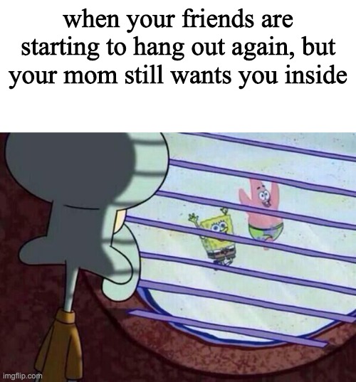 when your friends are starting to hang out again, but your mom still wants you inside | image tagged in blank white template,squidward window | made w/ Imgflip meme maker