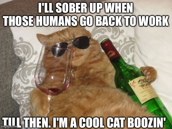 Wine Cat Birthday | I'LL SOBER UP WHEN THOSE HUMANS GO BACK TO WORK; TILL THEN. I'M A COOL CAT BOOZIN' | image tagged in wine cat birthday | made w/ Imgflip meme maker