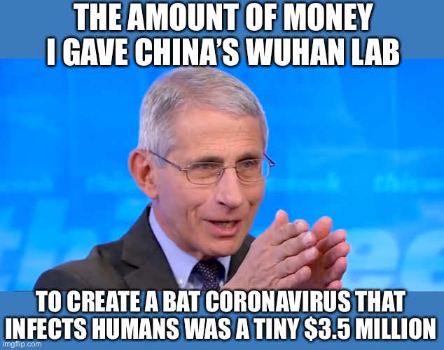 Dr. Fauci 2020 | THE AMOUNT OF MONEY I GAVE CHINA’S WUHAN LAB; TO CREATE A BAT CORONAVIRUS THAT INFECTS HUMANS WAS A TINY $3.5 MILLION | image tagged in dr fauci 2020 | made w/ Imgflip meme maker