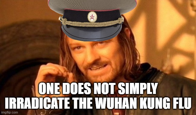 One Does Not Simply | ONE DOES NOT SIMPLY IRRADICATE THE WUHAN KUNG FLU | image tagged in memes,one does not simply | made w/ Imgflip meme maker
