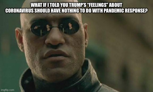 Matrix Morpheus Meme | WHAT IF I TOLD YOU TRUMP’S “FEELINGS” ABOUT CORONAVIRUS SHOULD HAVE NOTHING TO DO WITH PANDEMIC RESPONSE? | image tagged in memes,matrix morpheus | made w/ Imgflip meme maker