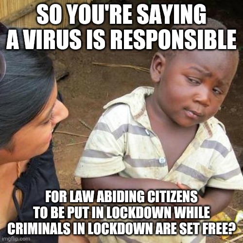 Third World Skeptical Kid Meme | SO YOU'RE SAYING A VIRUS IS RESPONSIBLE; FOR LAW ABIDING CITIZENS TO BE PUT IN LOCKDOWN WHILE CRIMINALS IN LOCKDOWN ARE SET FREE? | image tagged in memes,third world skeptical kid | made w/ Imgflip meme maker